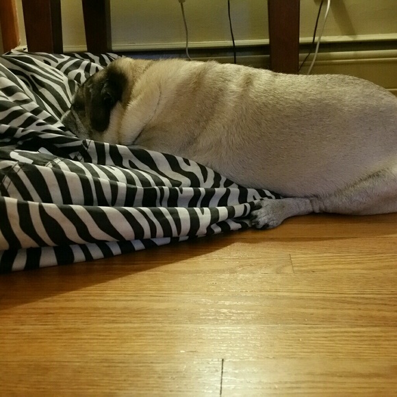 Meet your Posher, Devon - Picture 1 of 1